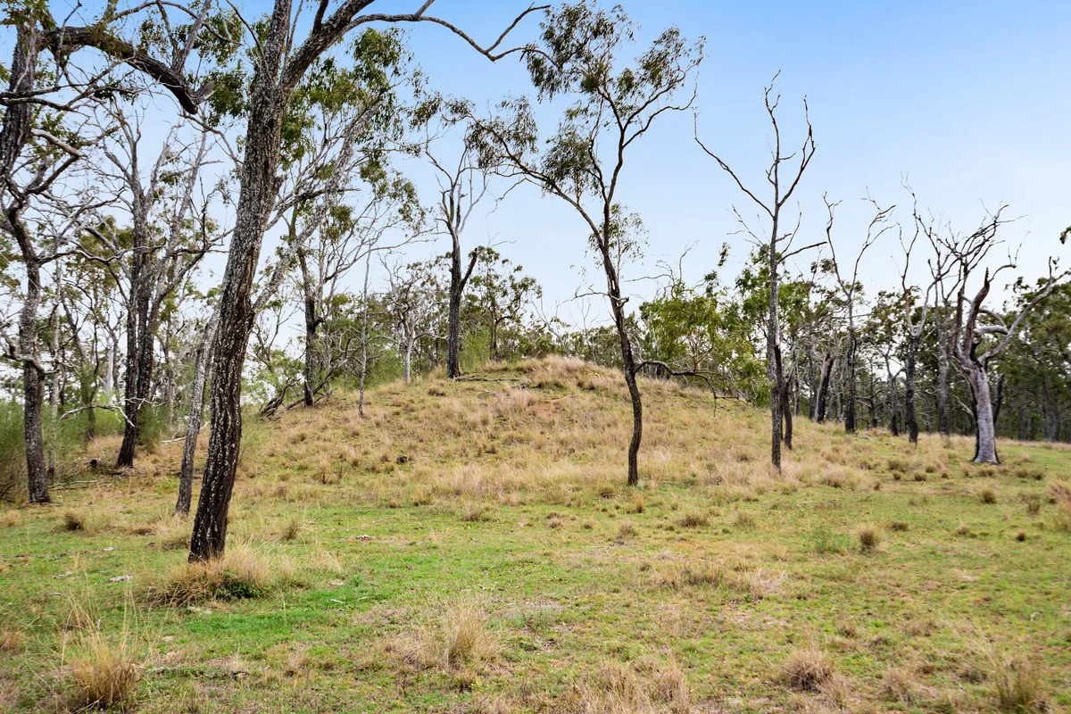 Additional image 16 of 3054 Wiemers Road, Southbrook QLD 4363