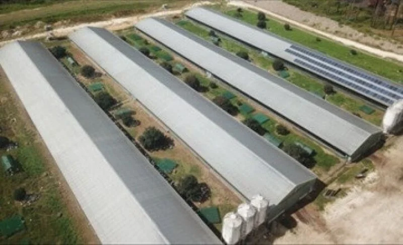 Additional image 16 of Mangrove Mountain NSW 2250