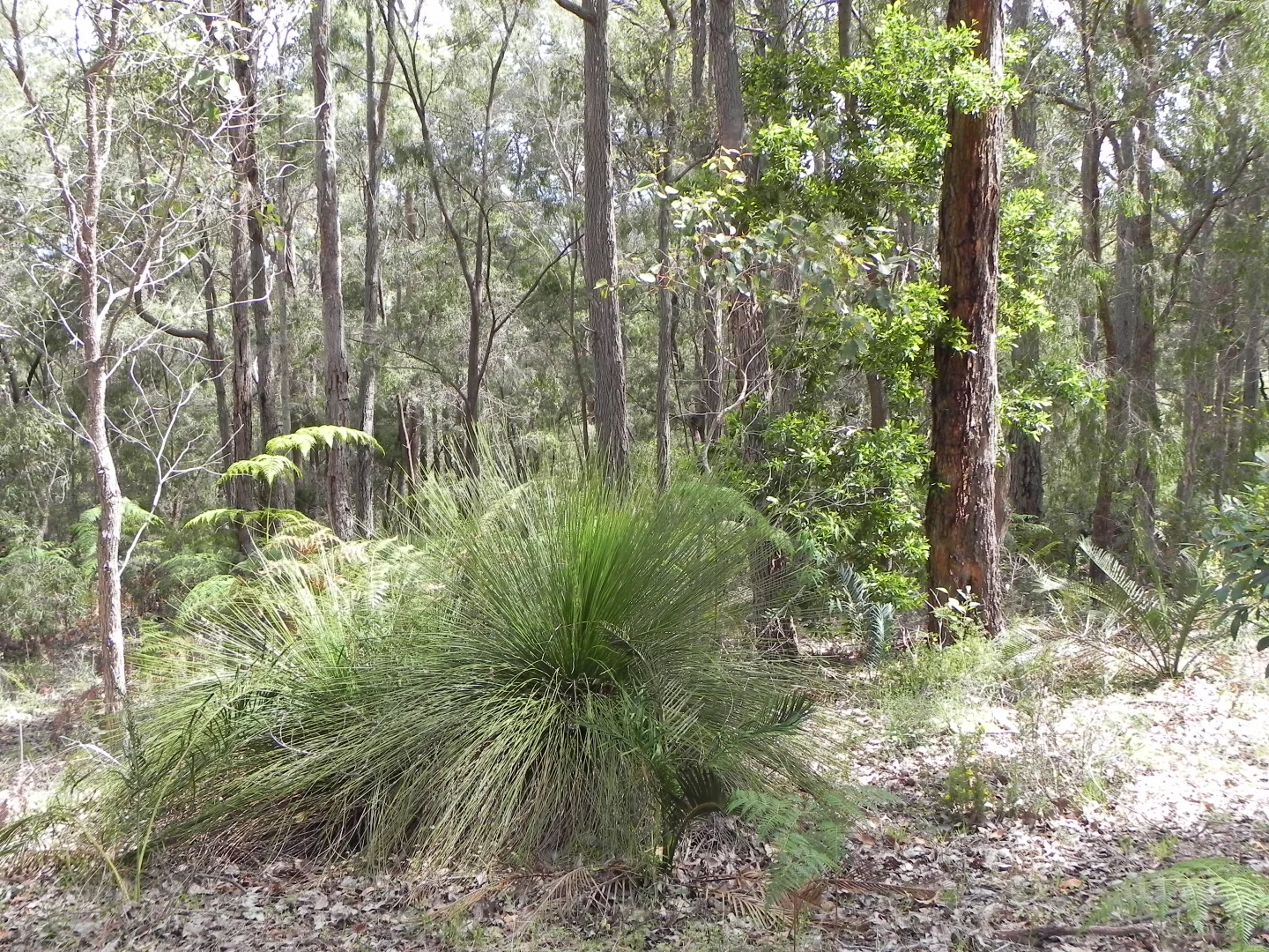 Additional image 30 of Lot PL 2/1120 Wildwood Road, Yallingup Siding WA 6282