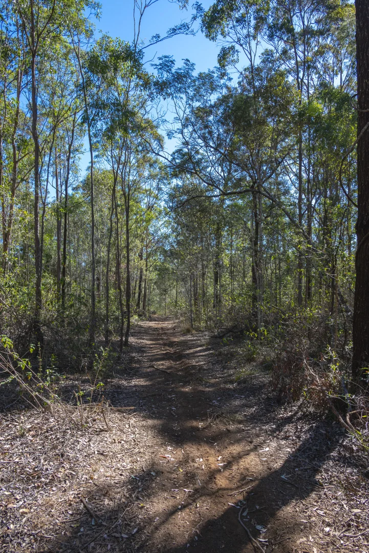 Additional image 22 of 151 Cameron Road, Taromeo QLD 4314