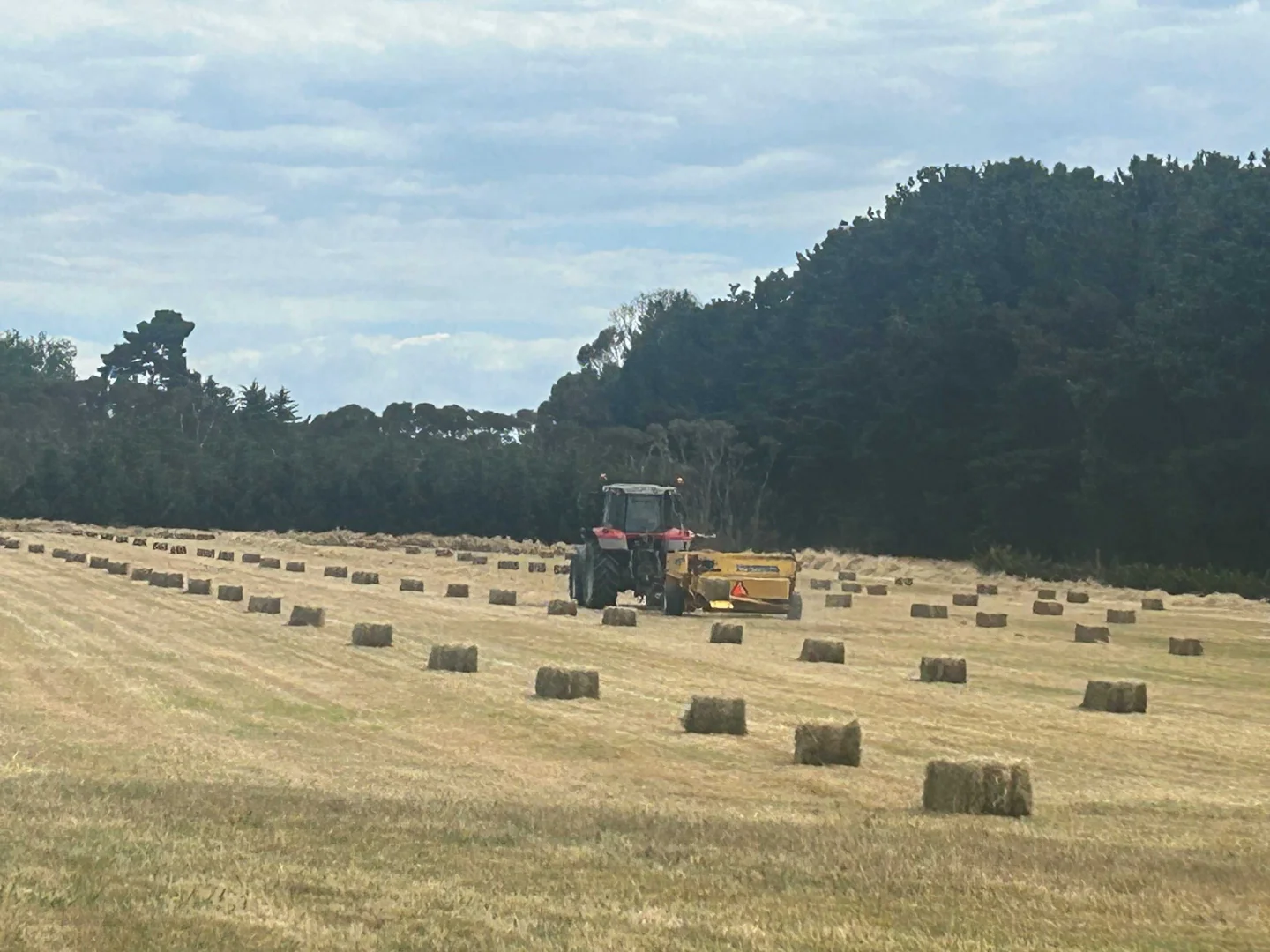 Additional image 32 of 112 Sandy Point Road, Balnarring VIC 3926