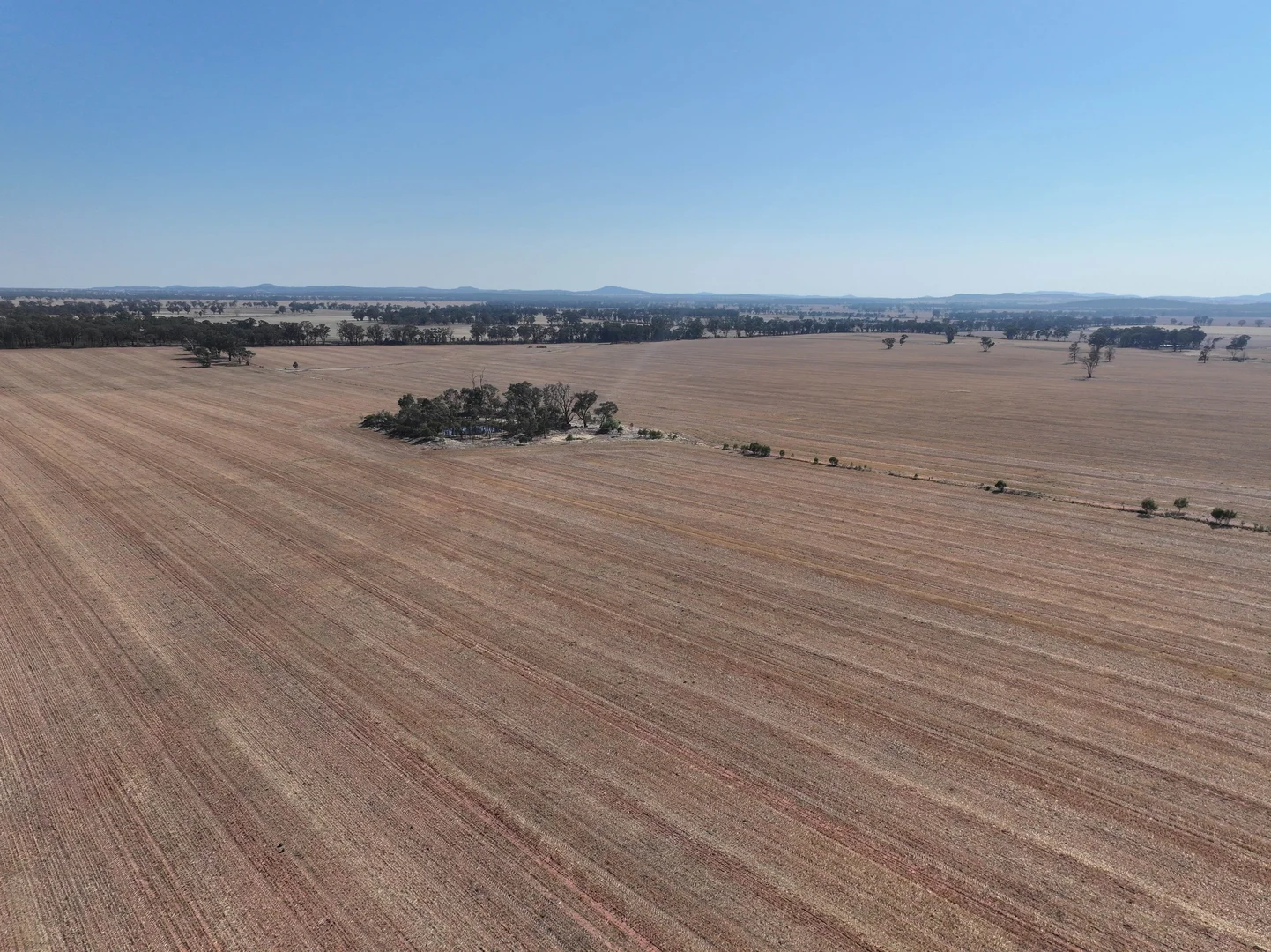 Additional image 12 of 'Wattlevale' 875 Schmidts Lane, Gidginbung NSW 2666