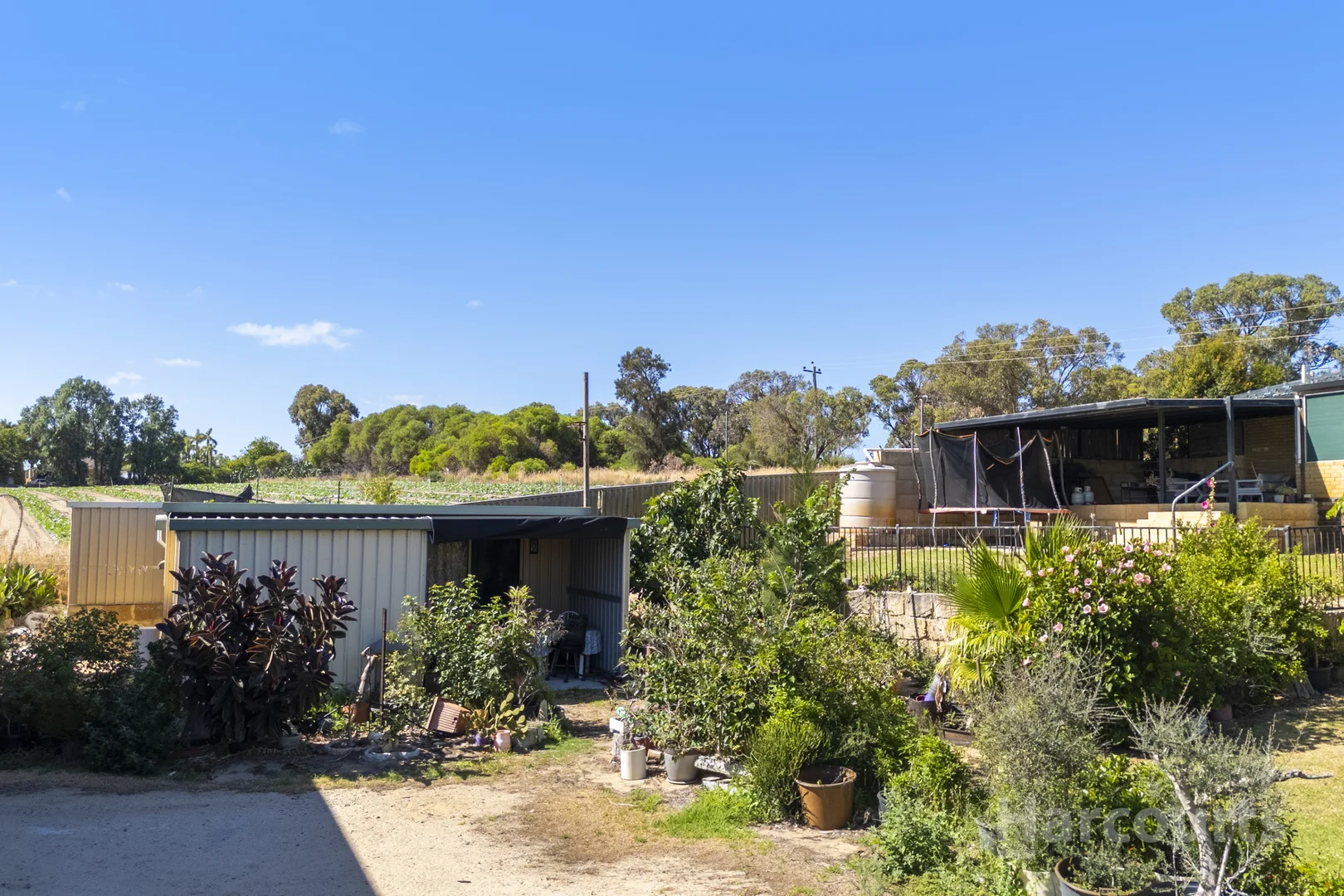 Additional image 28 of 3156 Wanneroo Road, Carabooda WA 6033