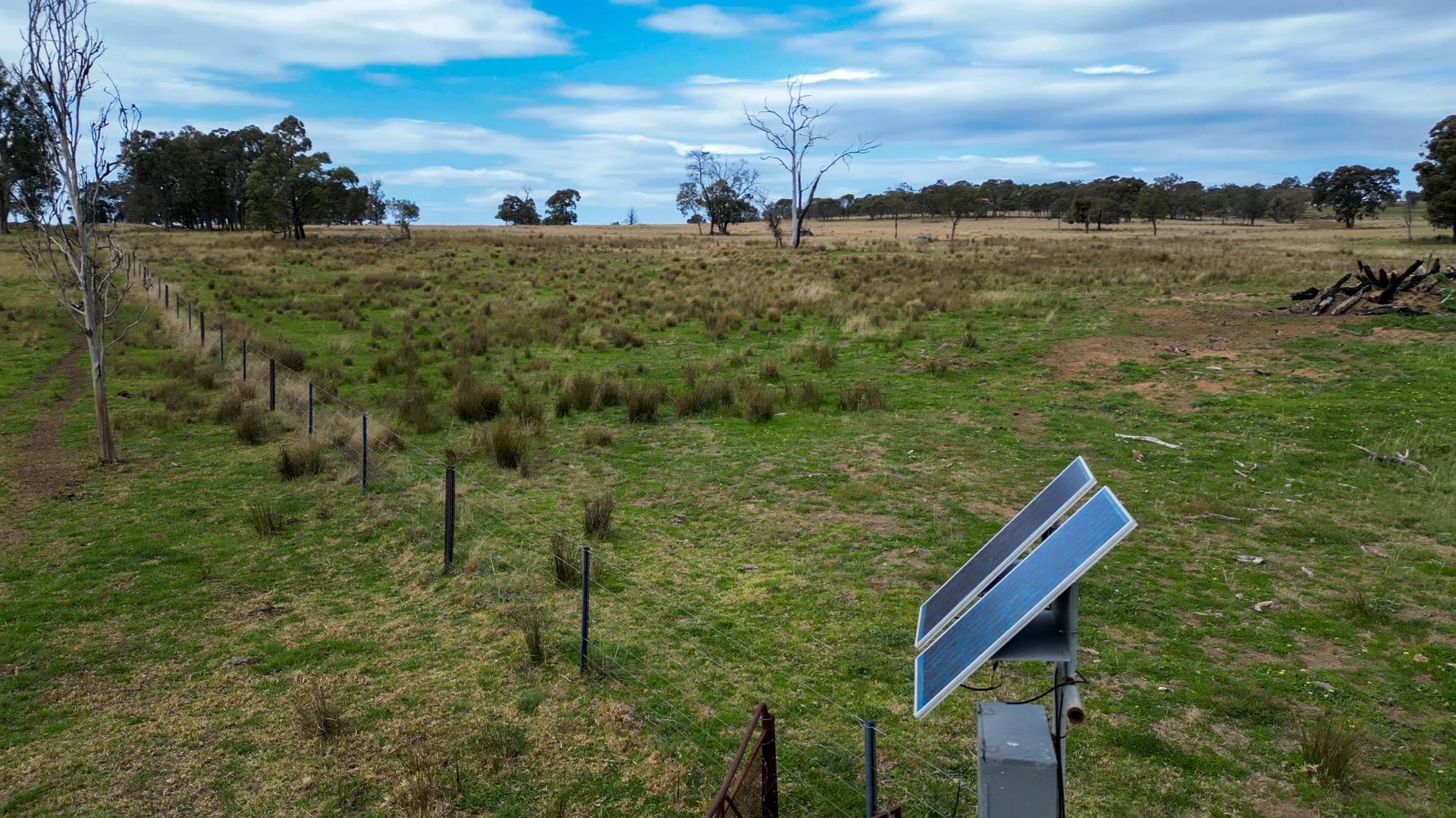 Additional image 10 of 1559 Digilah Road, Dunedoo NSW 2844