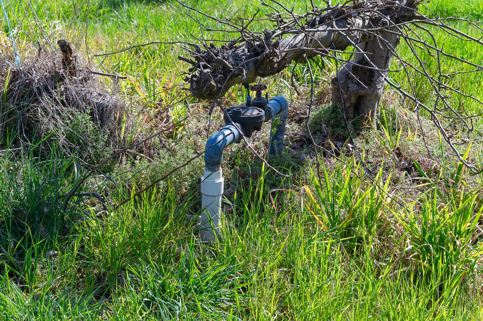 Additional image 14 of Lot 201 Tiers Road, Lenswood SA 5240