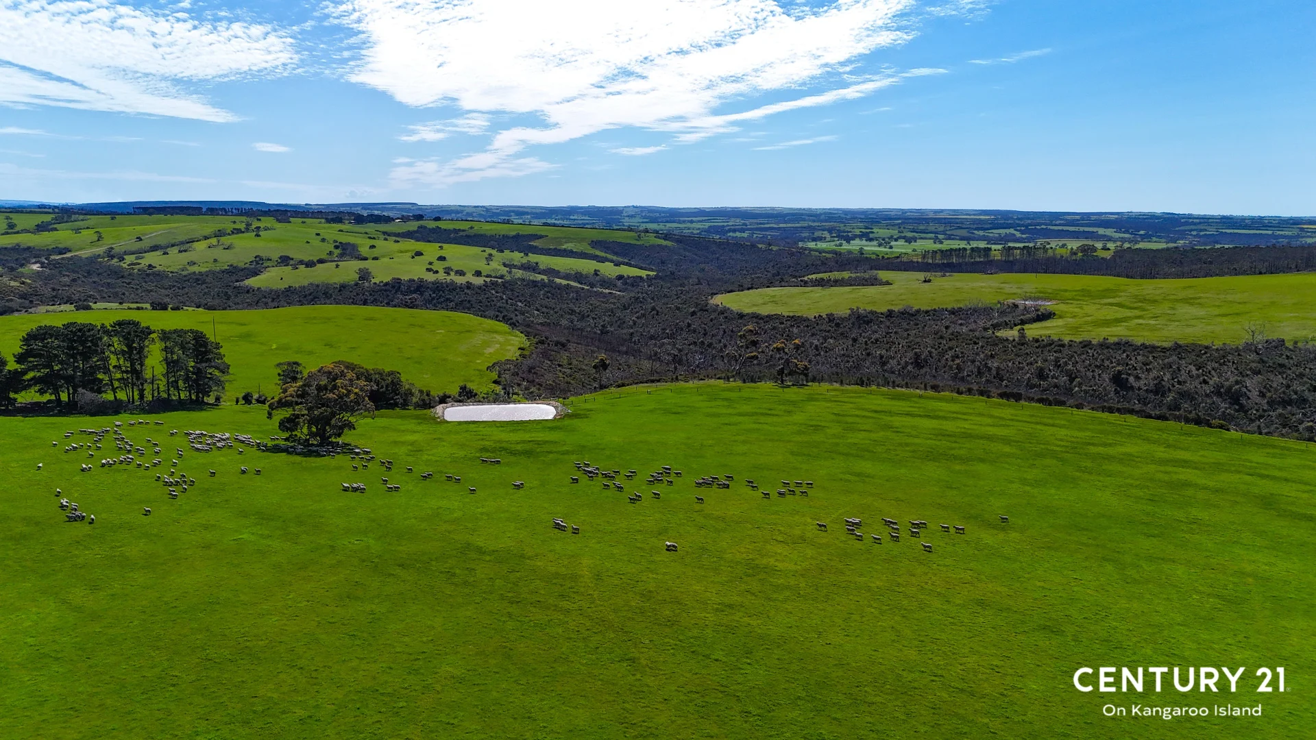 Additional image 6 of 2265 Playford Highway, Kohinoor SA 5223