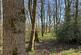 Additional image 6 of Needlewood Grove, Redditch, Worcestershire B48