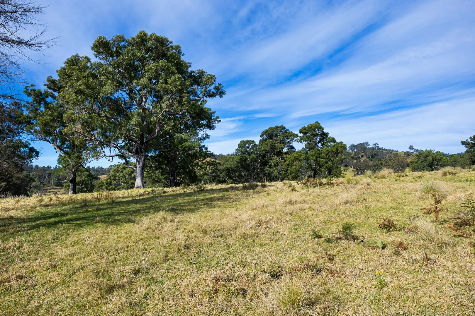 Additional image 5 of Lot 63 Watts Road, Cobargo NSW 2550