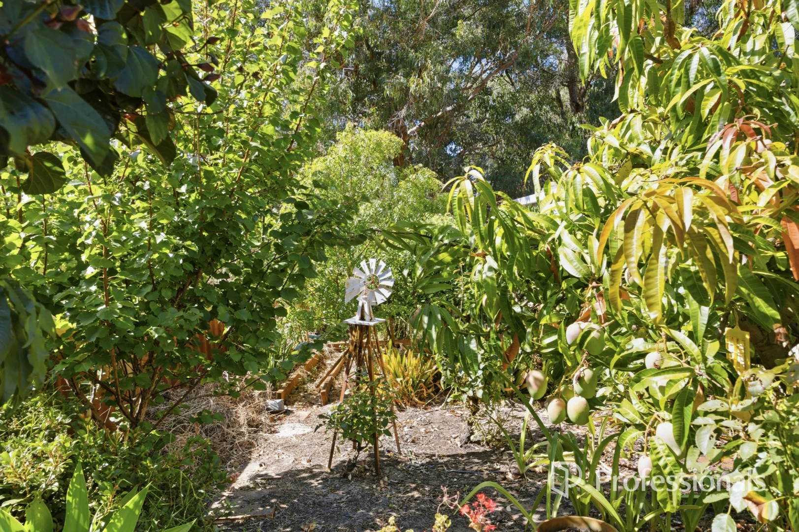 Additional image 27 of 12 Bedingfield Way, Australind WA 6233