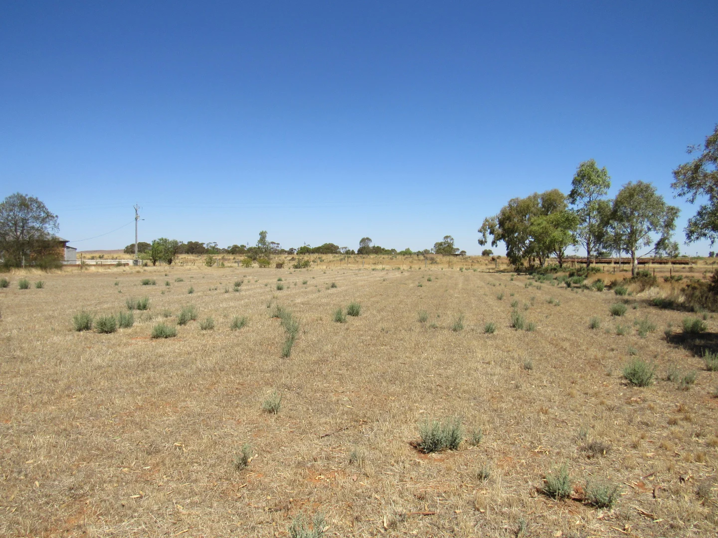 Additional image 19 of 29 Yankee Dip Road, Peterborough SA 5422
