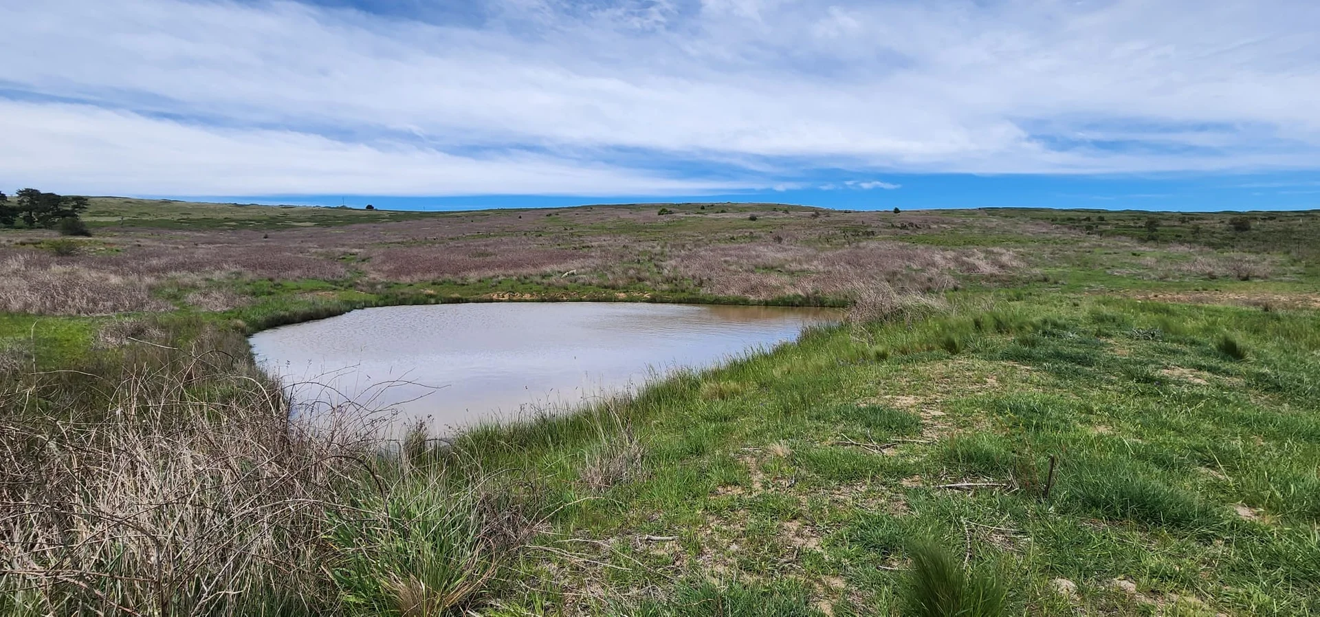 Additional image 4 of Lot 2, 175 Pomeroy Mill Ford Rd, Mummel NSW 2580