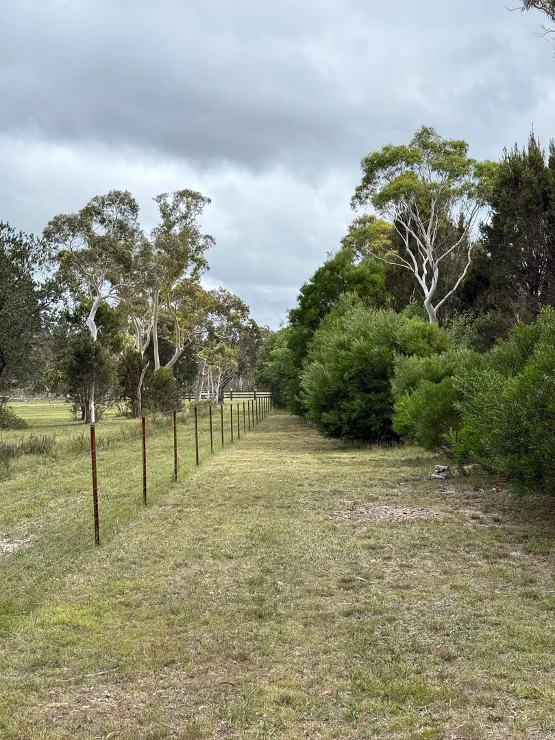 Additional image 36 of 385 Foxs Elbow Road, Braidwood NSW 2622