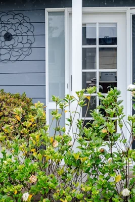 Additional image 37 of 30 Narregol Street, Pambula NSW 2549