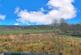 Additional image 3 of Siskin Avenue, Bacup, Rossendale, OL13