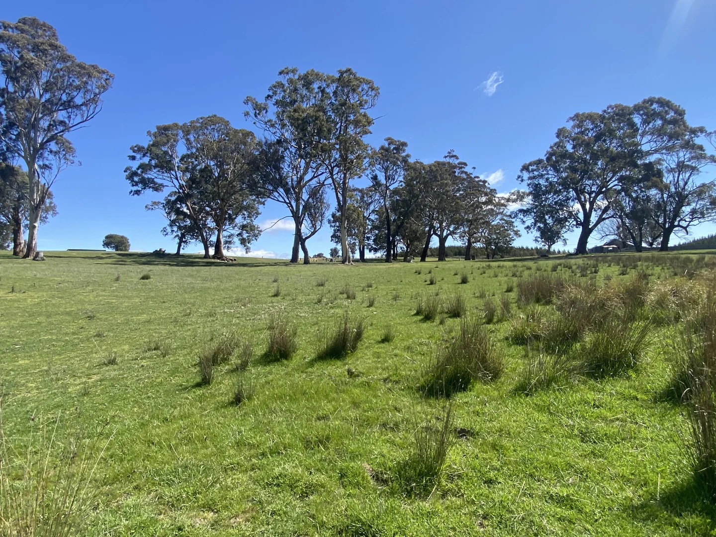 Additional image 4 of 2585 Burraga Road, Burraga NSW 2795