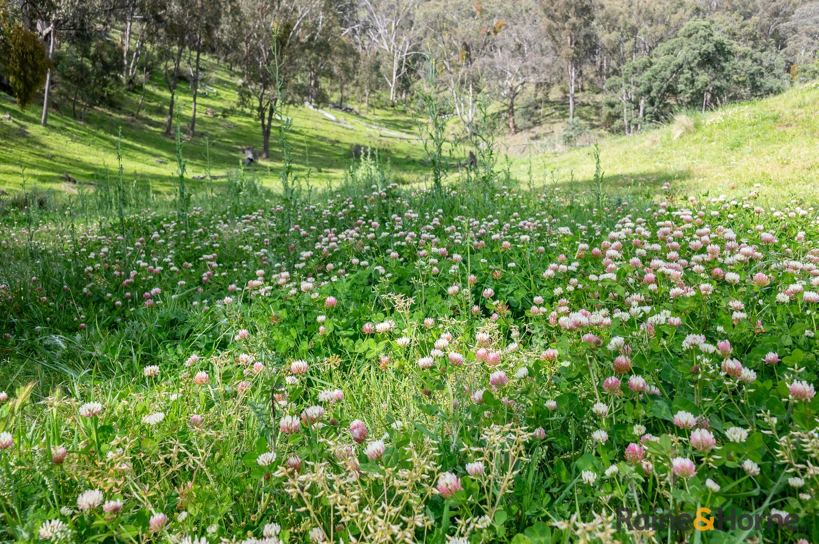 Additional image 8 of Lot 2/2553 Campfire Road, Walcha NSW 2354