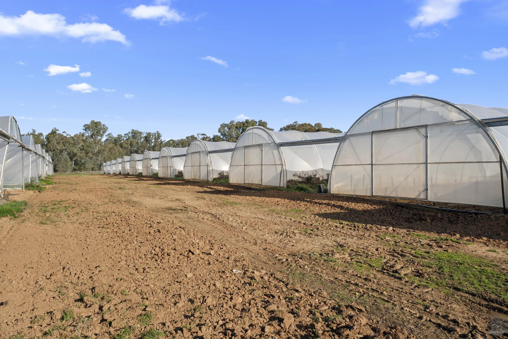 Additional image 9 of 620 River Road, Murchison North VIC 3610