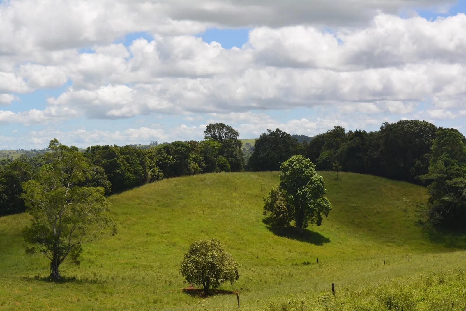 Additional image 69 of 780 MIDDLEBROOK ROAD, Millaa Millaa QLD 4886