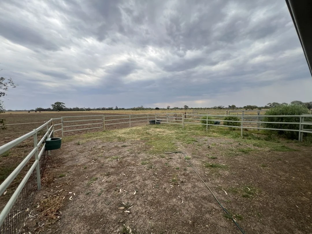 Additional image 22 of 48 Gurley Settlers Road, Gurley NSW 2398