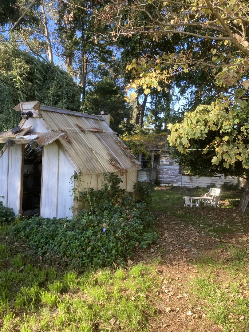 Additional image 9 of 65 Dykes Outlet Rd, Dollar VIC 3871