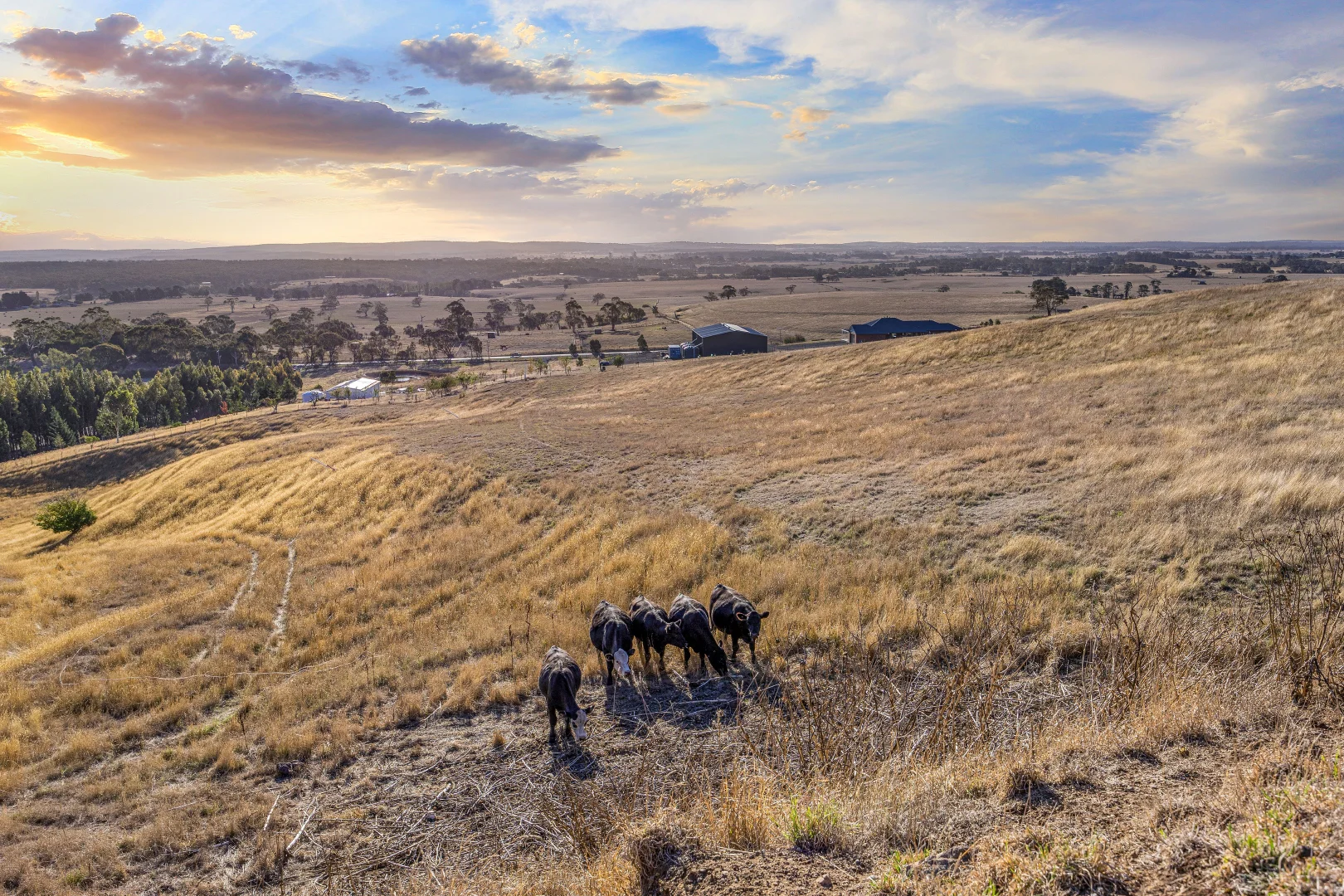 Additional image 7 of Lot 2/46 Nicholsons Road, Durham Lead VIC 3352