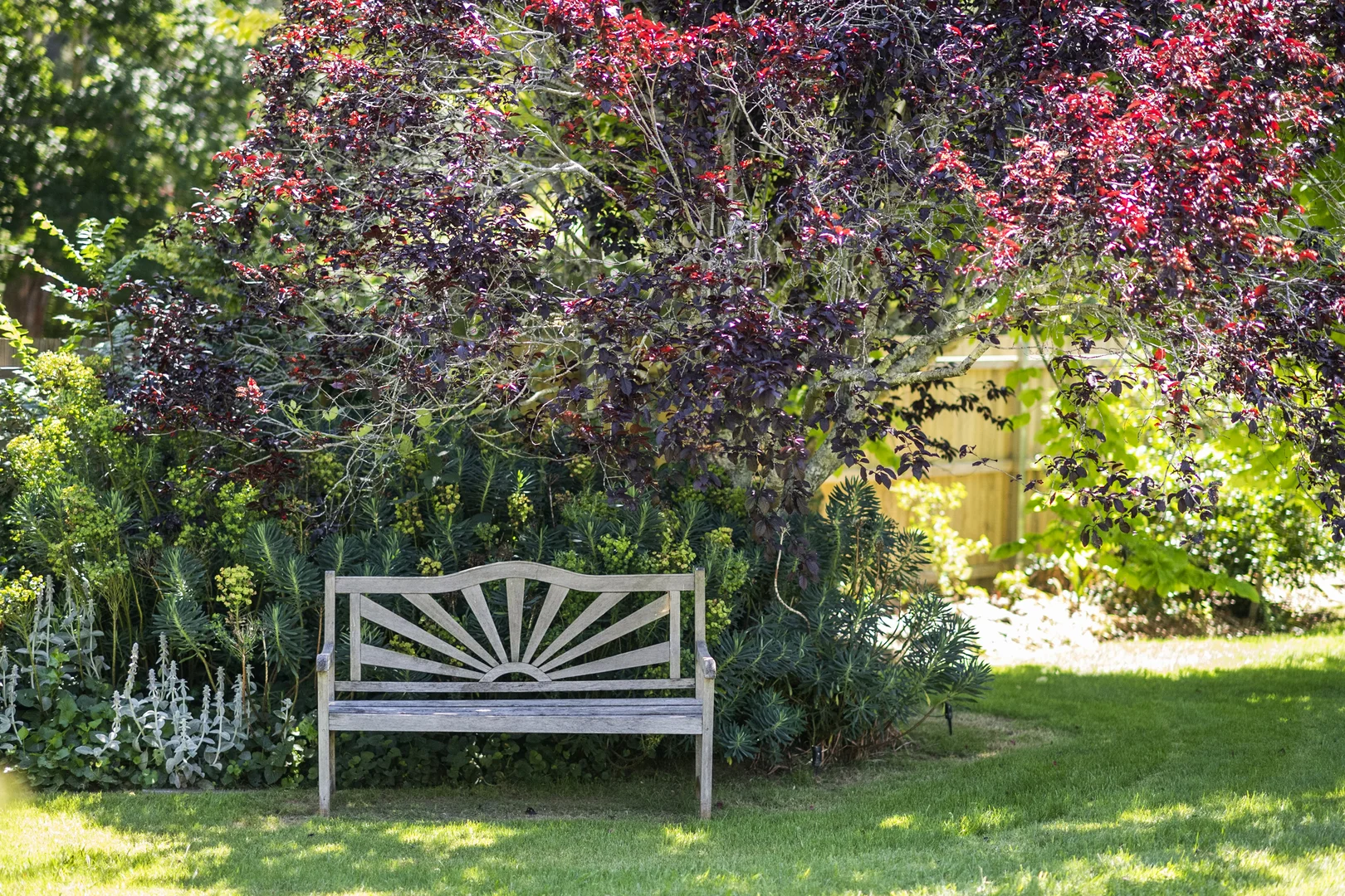 Additional image 26 of 42 Conflict Street, Sutton Forest NSW 2577