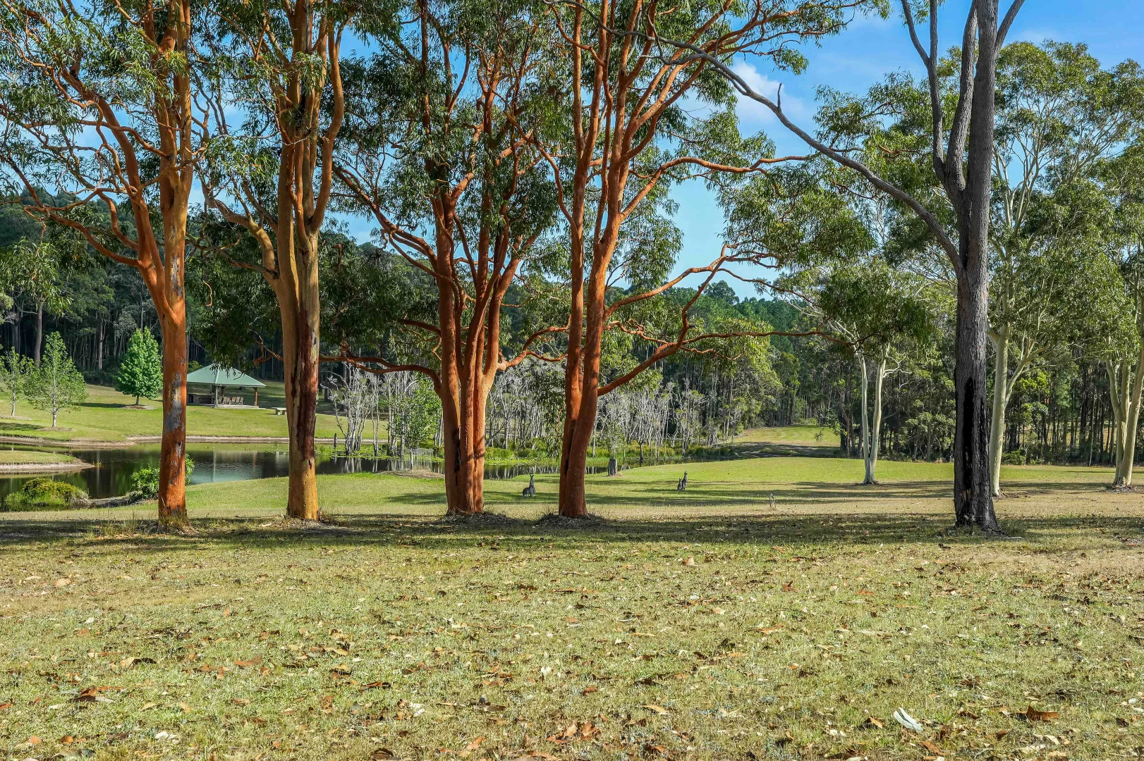 Additional image 6 of 422 Pindimar Road, Pindimar NSW 2324