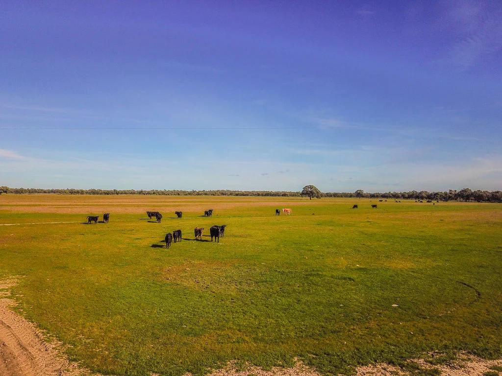 Additional image 17 of 'Wetuppa' 245 Fisher Lane, Wetuppa NSW 2734