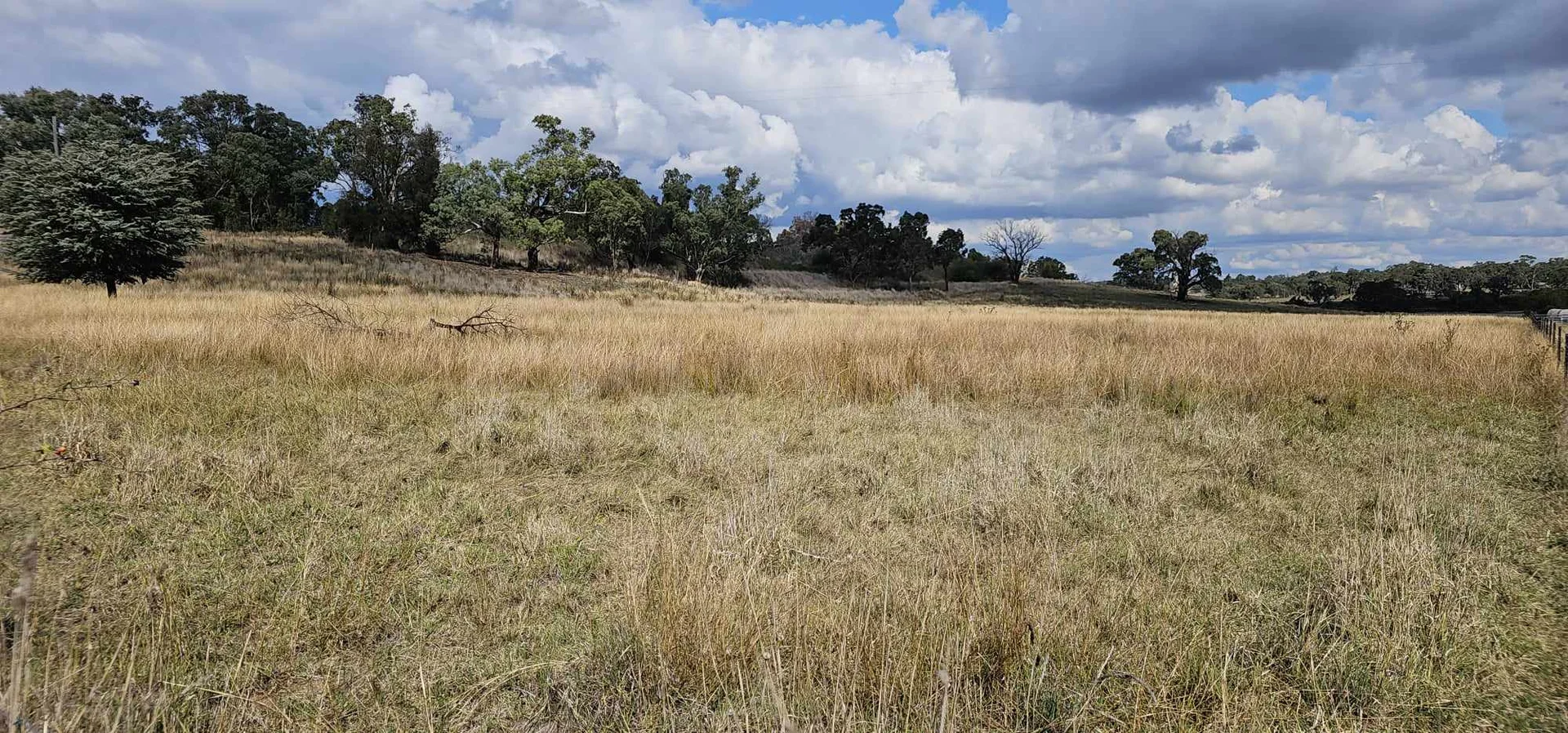 Additional image 3 of 262-263 Burley Griffin Way, Wallendbeen NSW 2588