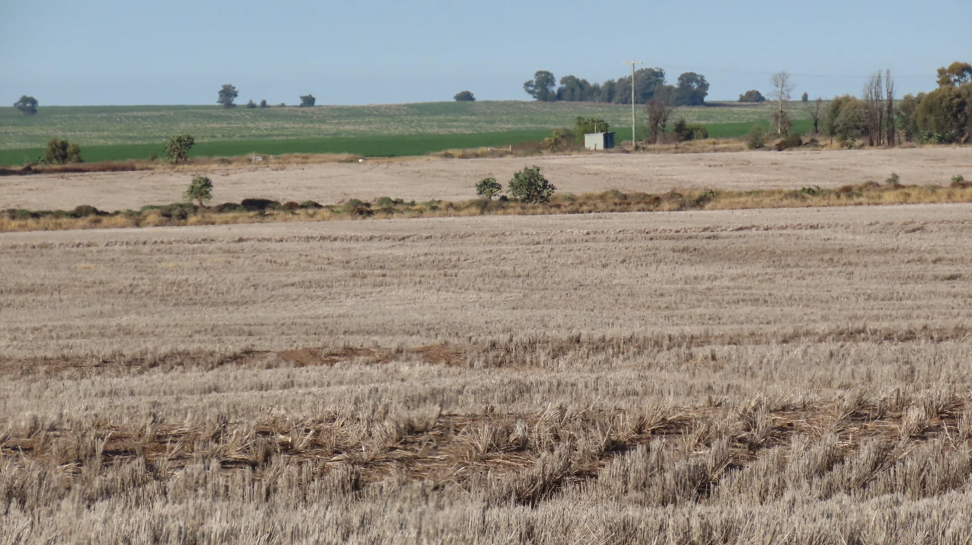 Additional image 8 of "Arrowfield"  648 Spinks Road, Goondiwindi QLD 4390