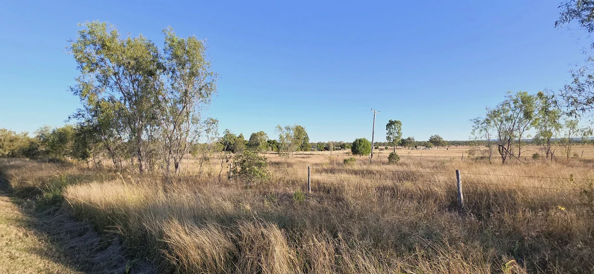 Additional image 13 of Lot 171 Leichhardt Highway, Dululu QLD 4702
