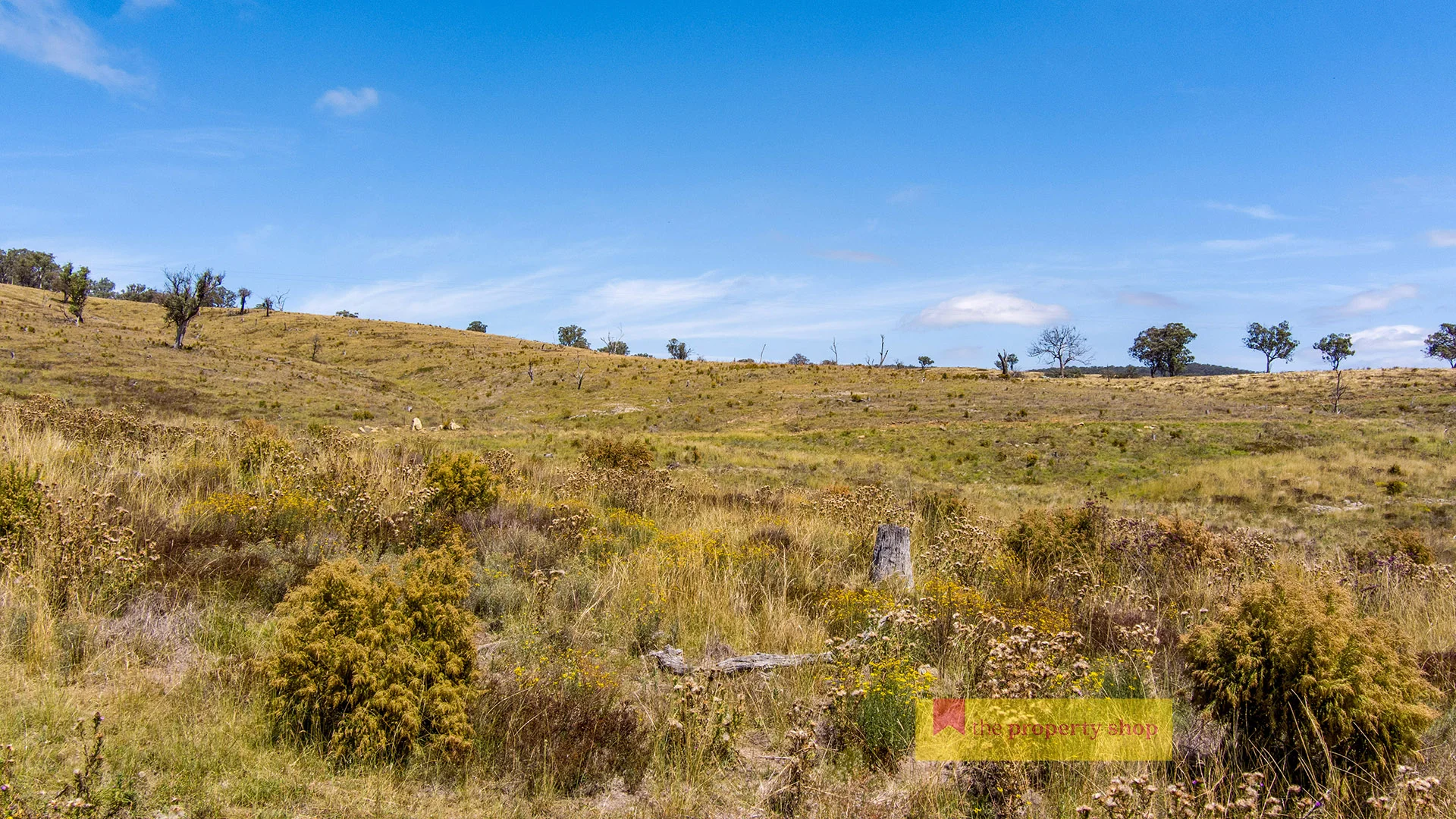 Additional image 6 of 1074 Campbells Creek Road, Mudgee NSW 2850