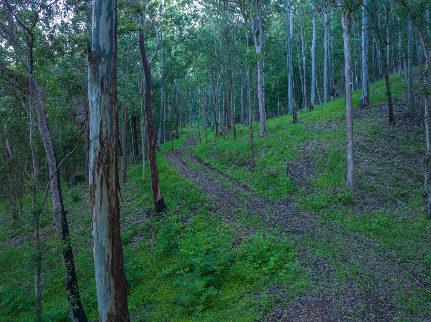 Additional image 43 of 2298 Nimbin Road, Nimbin NSW 2480
