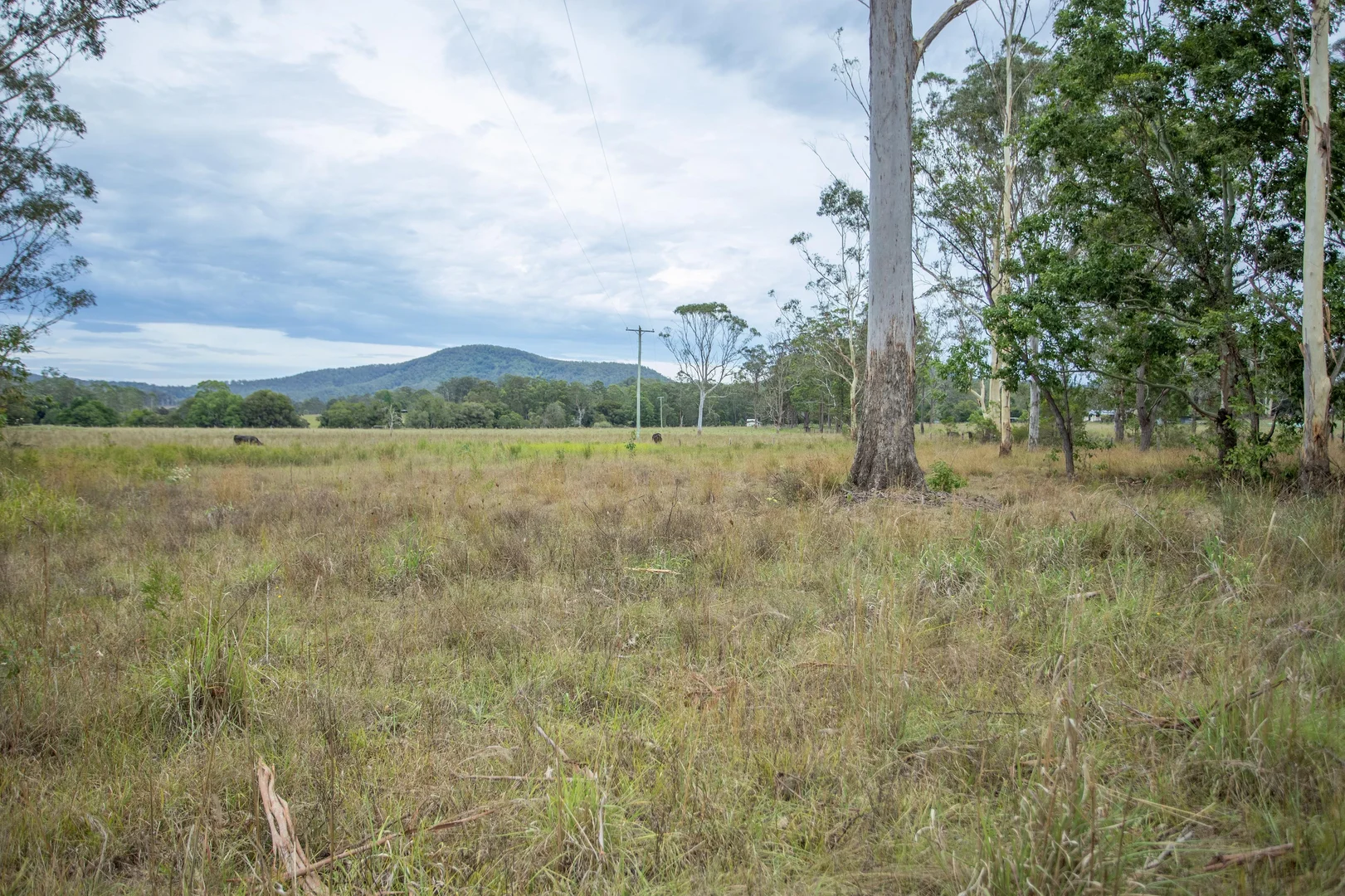 Additional image 25 of 907 Comboyne Road, Wingham NSW 2429