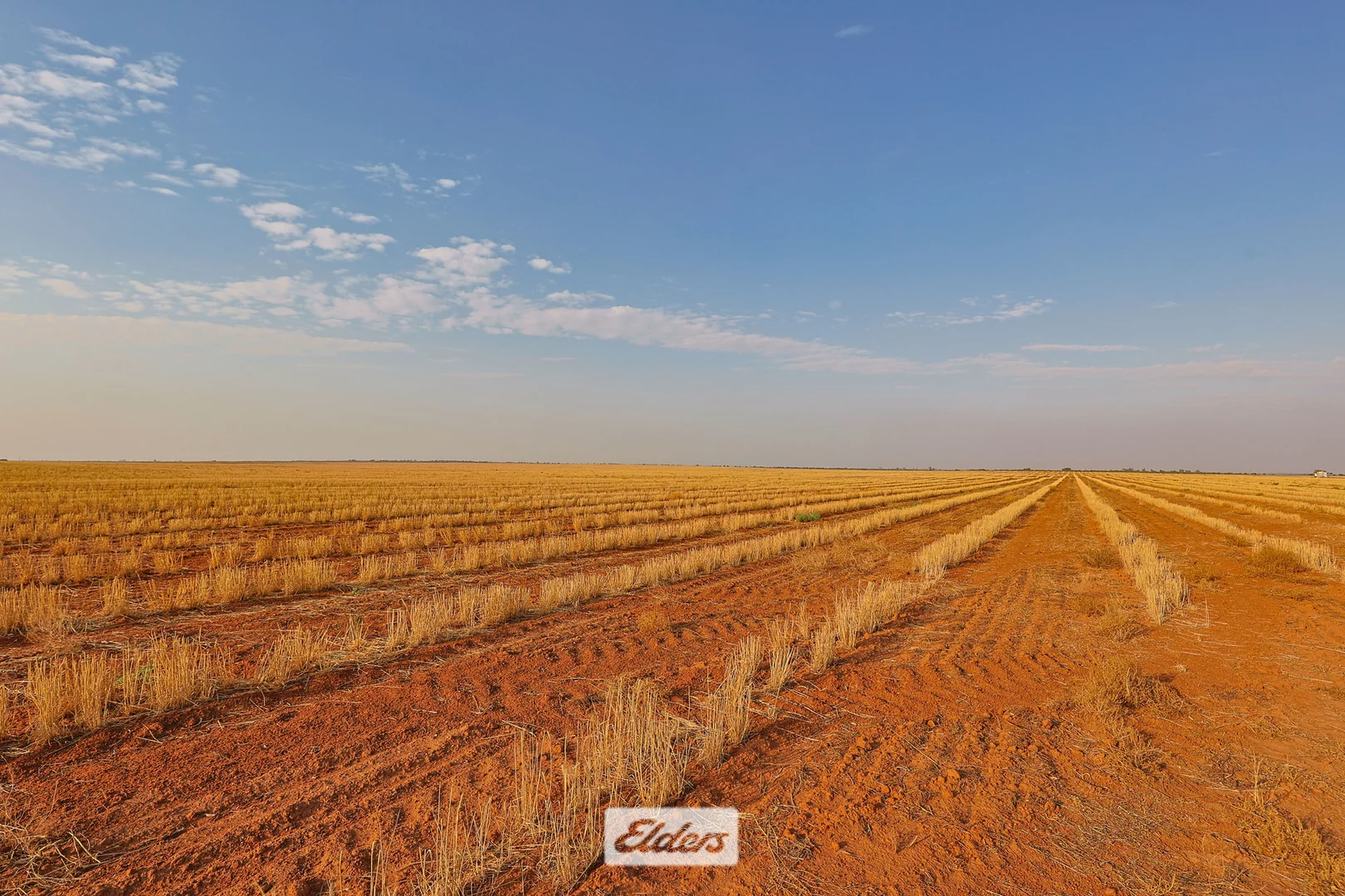 Additional image 9 of 340 West Wilcannia Road, Menindee NSW 2879