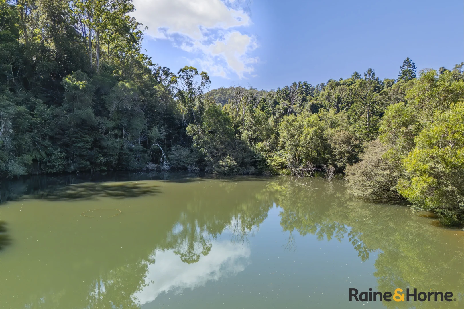 Additional image 28 of 1691 Coramba Road, Megan NSW 2453