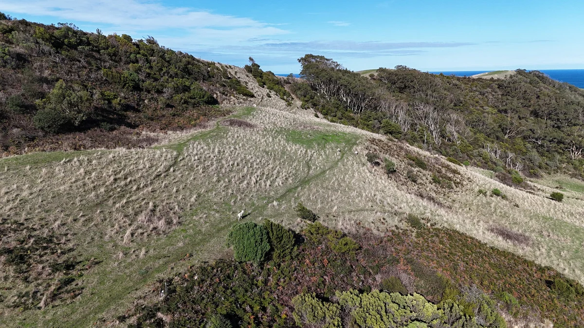 Additional image 5 of 650 Blue Johanna Road, Johanna VIC 3238