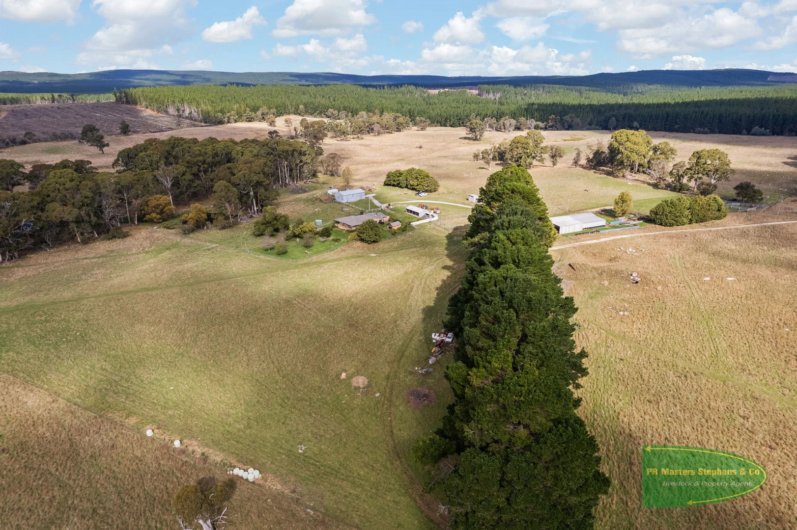 Additional image 54 of 800 Riverview Forest Road, Mozart NSW 2787