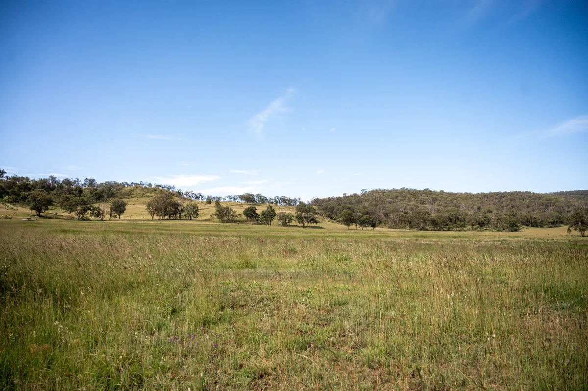 Additional image 24 of 1006 North Branch Road, Goomburra QLD 4362