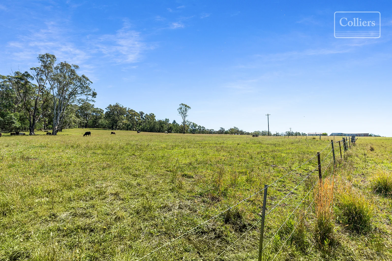 Additional image 14 of 227-229 Little Forest, Little Forest NSW 2538