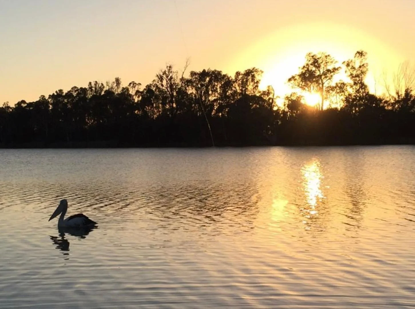 Additional image 13 of 493 Kingston Road, Moorook SA 5332