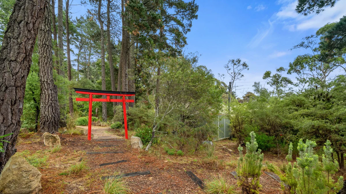 Additional image 9 of 5 Jamieson Street, Wentworth Falls NSW 2782