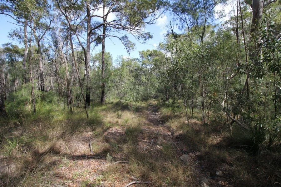 Additional image 31 of 492 Capricornia Drive, Deepwater QLD 4674