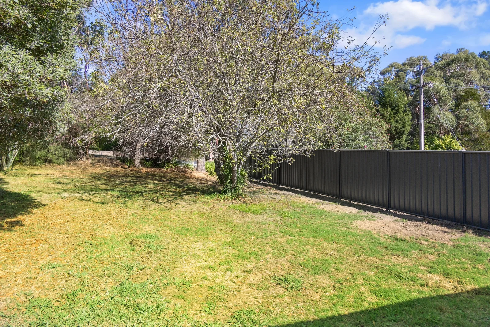 Additional image 13 of 2212 Maroondah Highway, Buxton VIC 3711