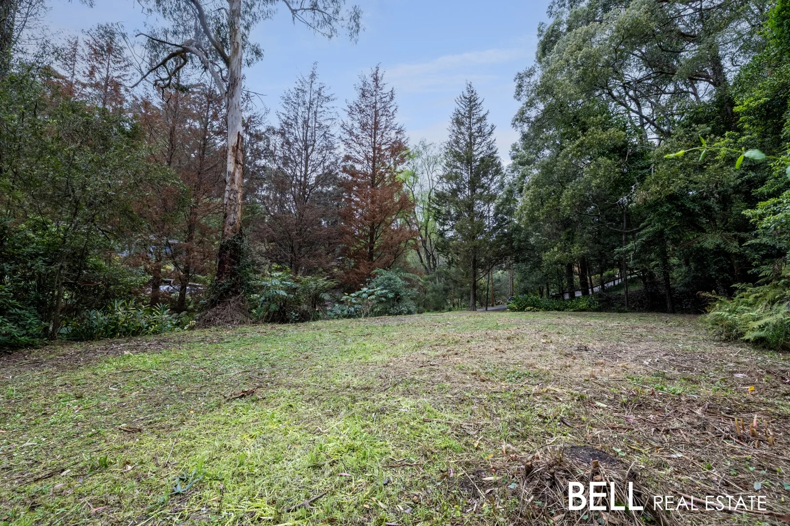 Additional image 9 of 103 Belgrave-Gembrook Road, Selby VIC 3159