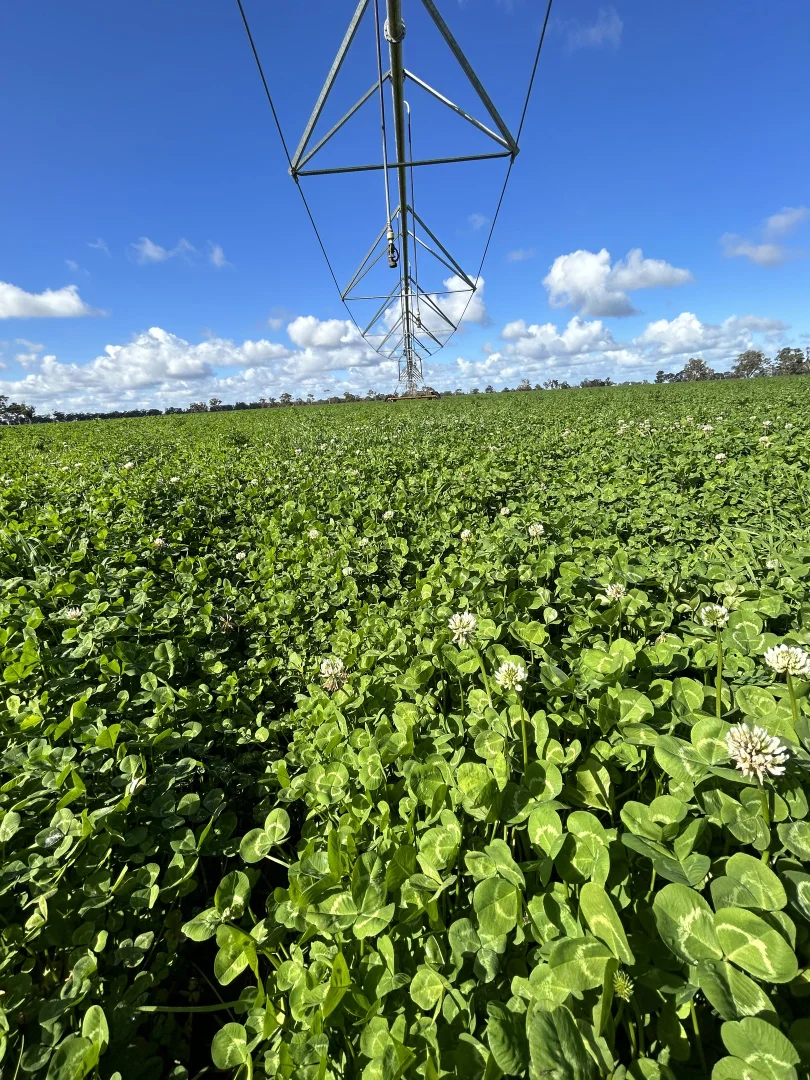 Additional image 11 of 71 Joys Road, Binnum SA 5262