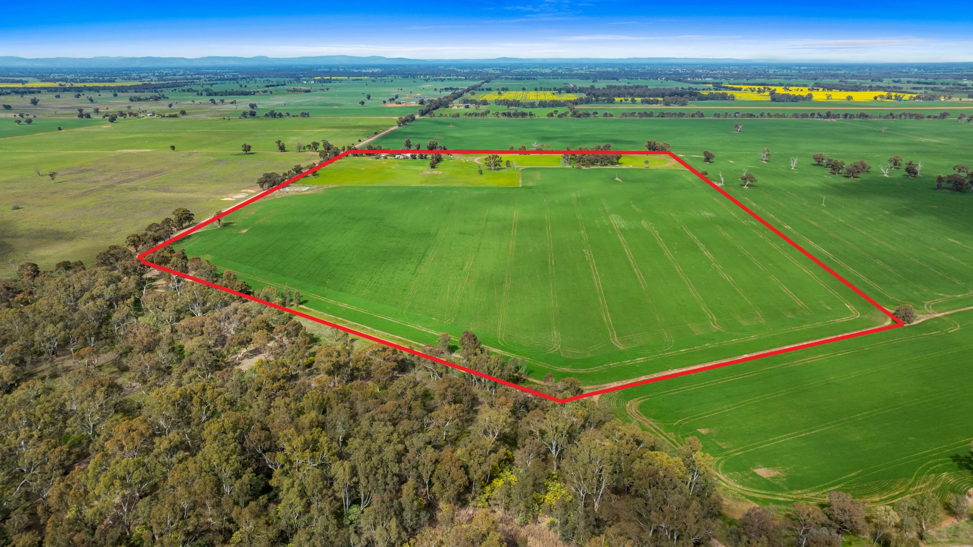 Additional image 5 of 130 Violet Town Boundary Road, Kialla East VIC 3631