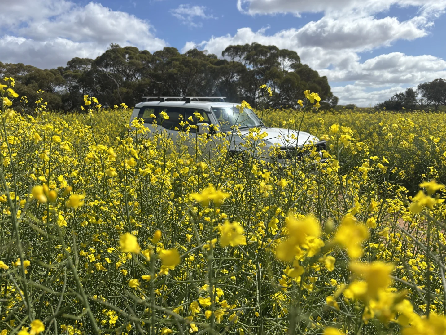 Additional image 5 of 1105 Coorow-Greenhead Road, Coorow WA 6515