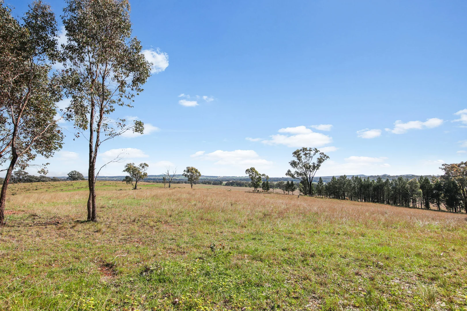 Additional image 31 of 1225 Gollan Road, Goolma NSW 2852