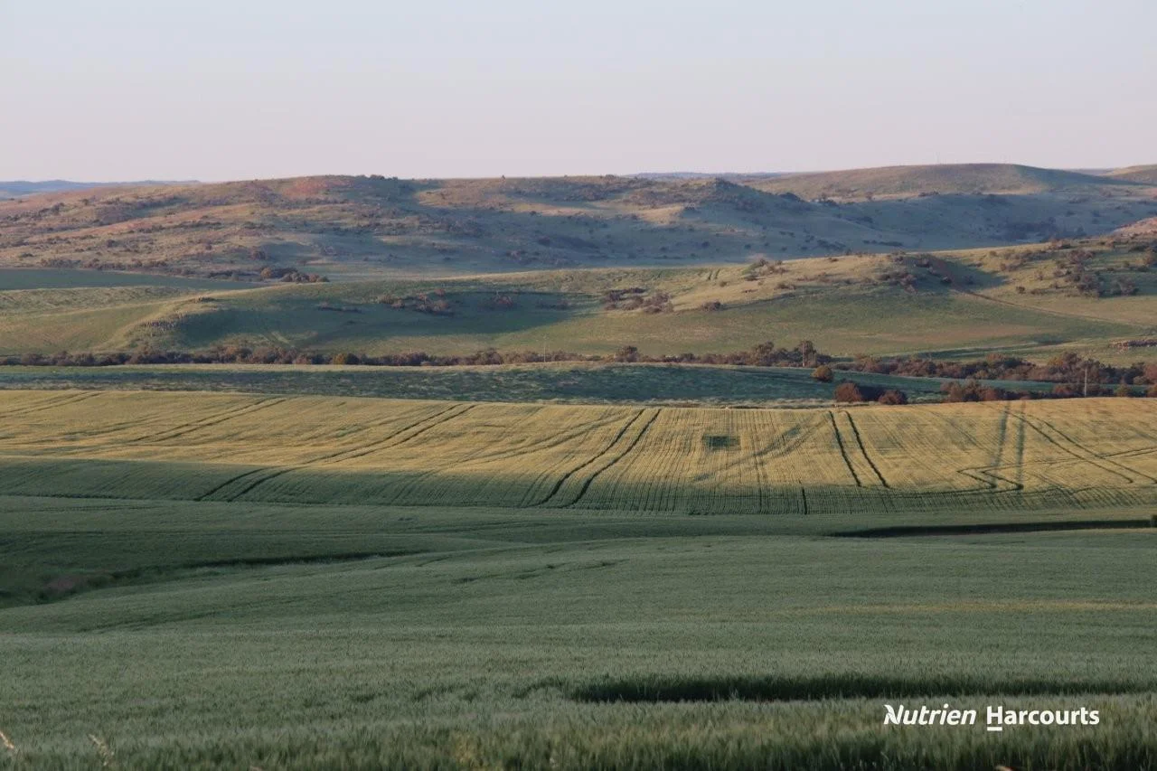 Additional image 5 of Lot 4 Larard Road, Sandy Gully WA 6535